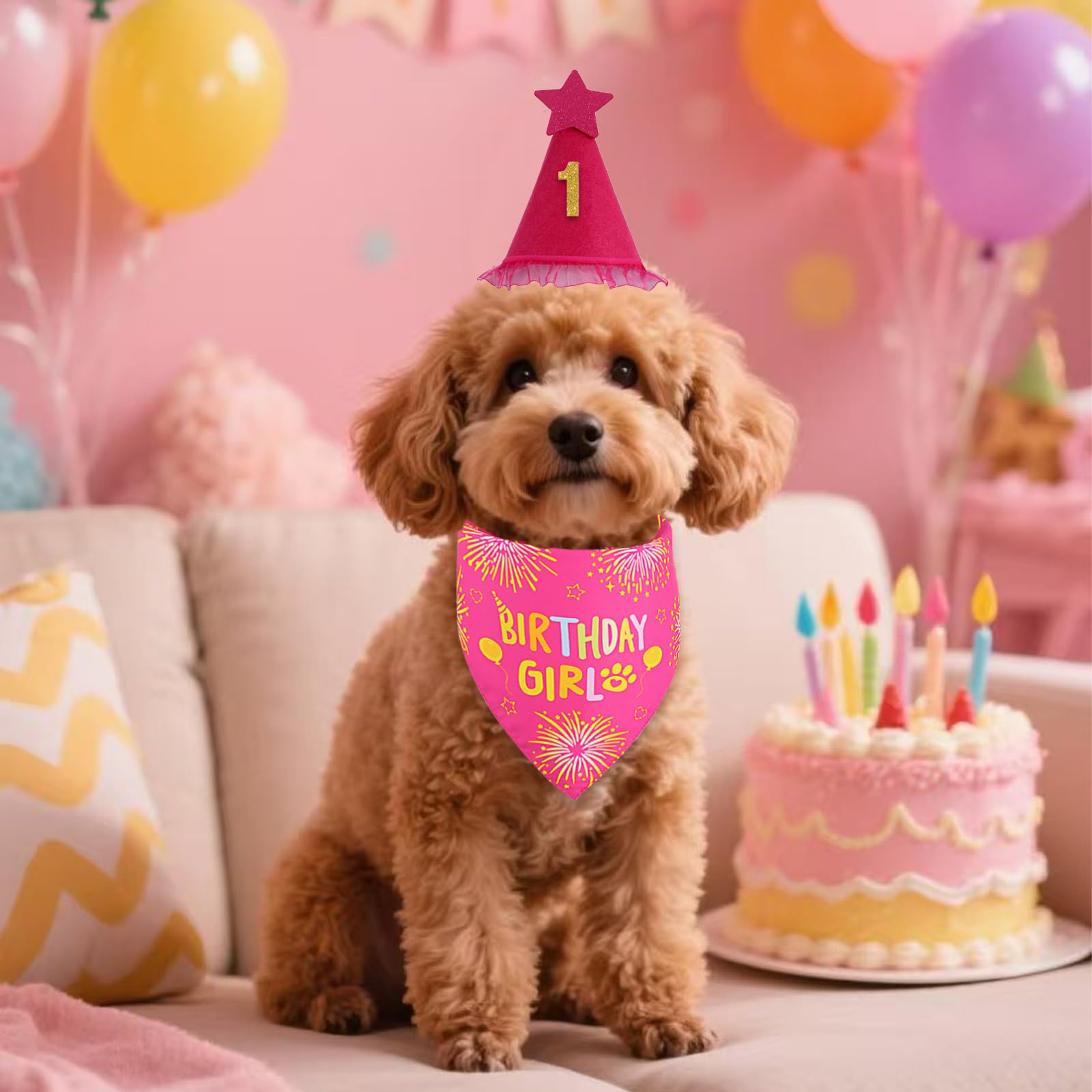 Accesorios de fiesta para perros Agroon, diseño vistoso para fotos y videos