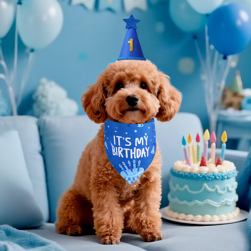 Agroon pañuelo cumpleaños canino, doble cara.