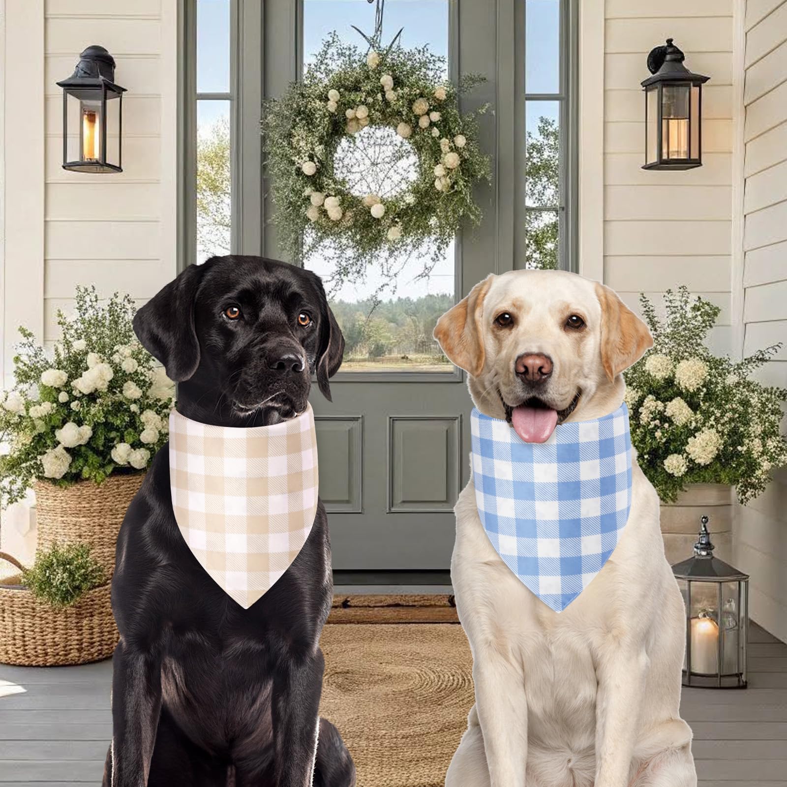 Agroon pañuelo para perro 21x30, talla extra grande, ideal para sesiones fotograficas