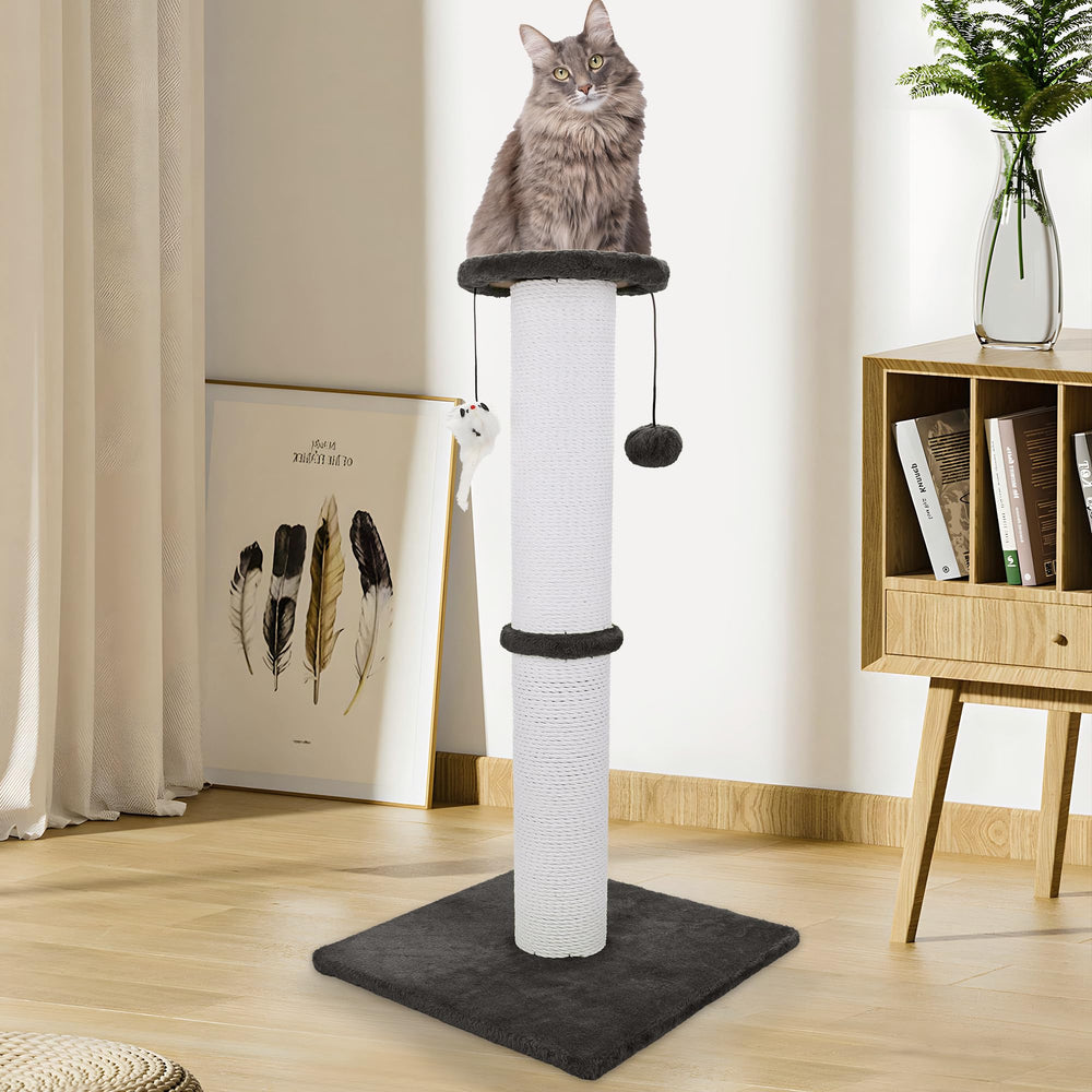 Ahomdoo Uso Interior: perfecto para gatos adultos que rascan dentro de casa.