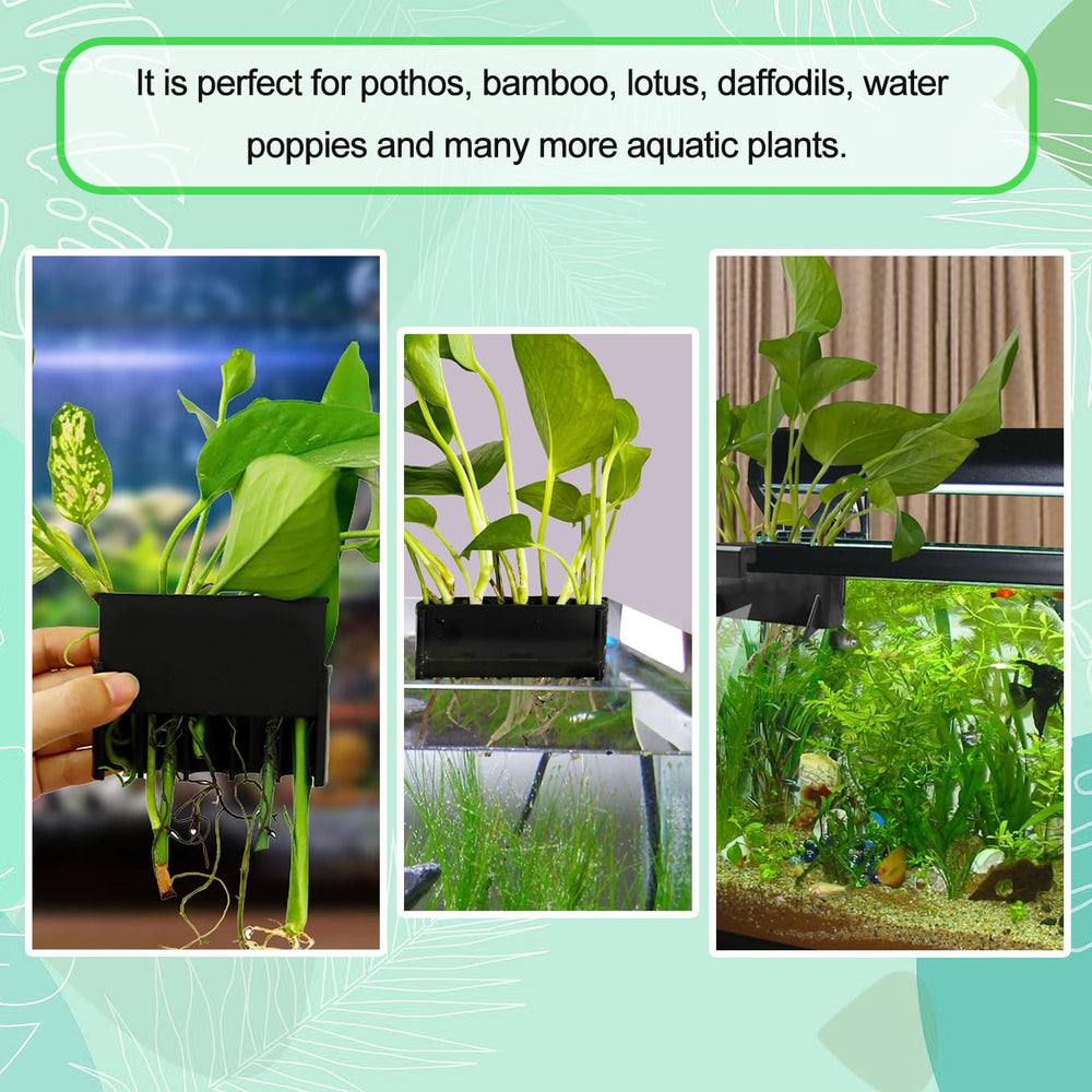Aidmi portaplanta para acuario crea un paisaje acuático atractivo y purificador visual