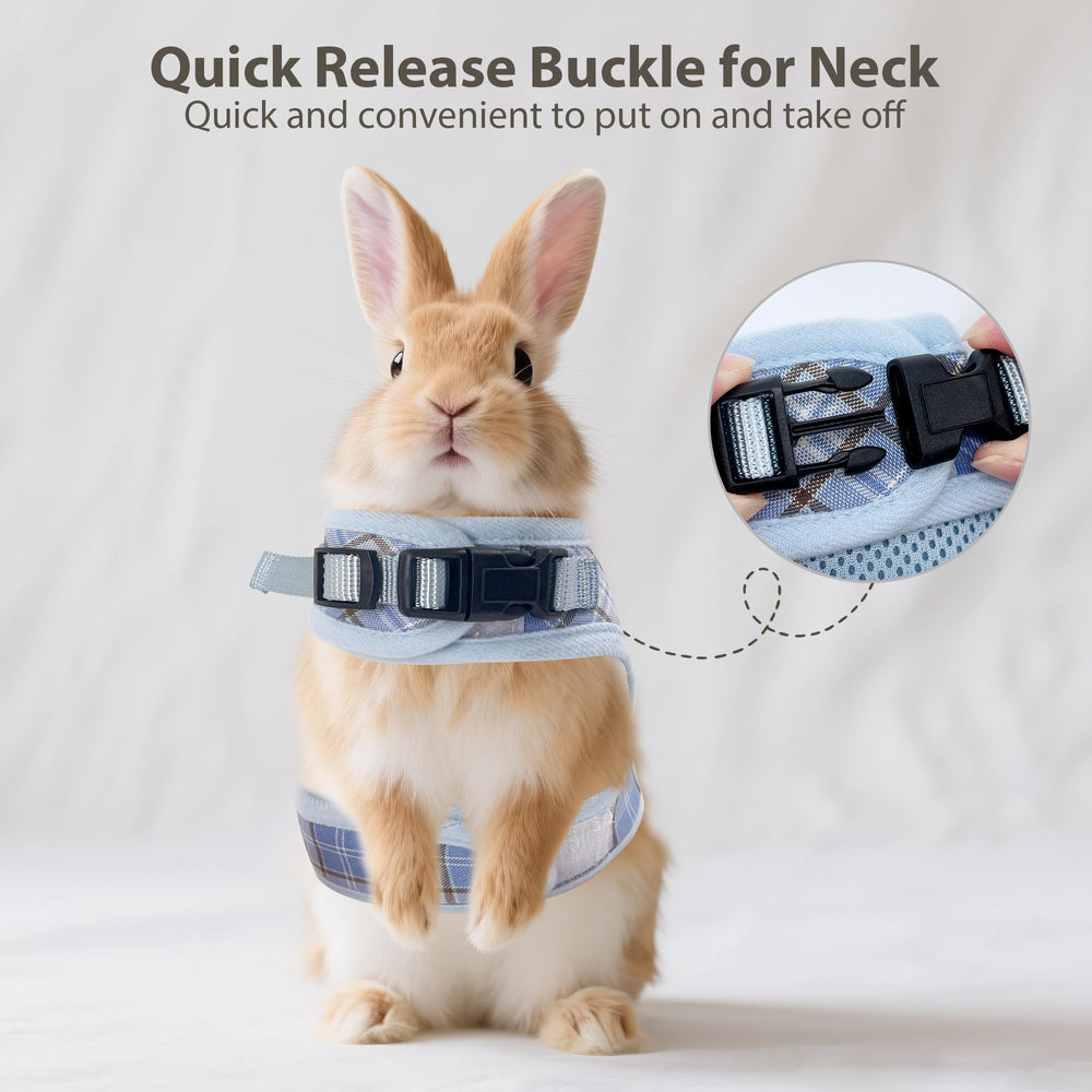 Aiitle arnés ligero, ideal para paseos diarios de conejos y gatos.