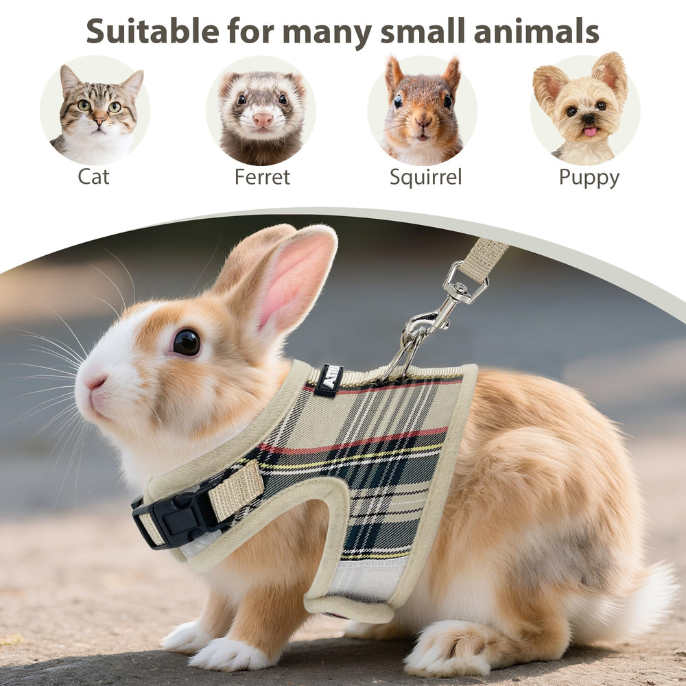 AIITLE uso exterior para mascotas pequeñas durante paseos y salidas.