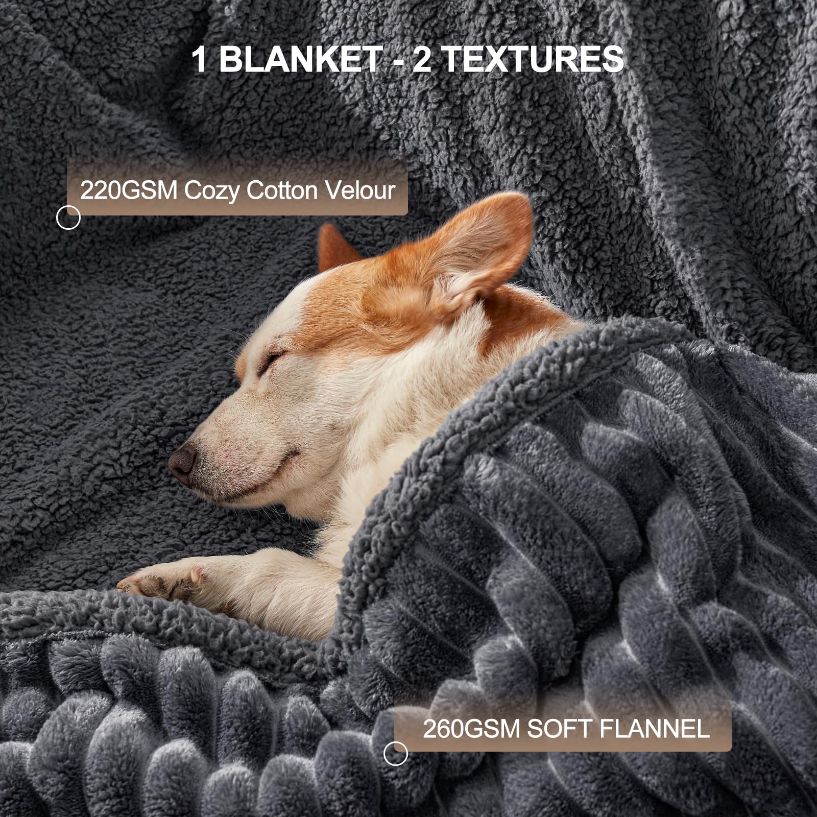 AIPERRO manta: protege cama y sofá contra líquidos y manchas