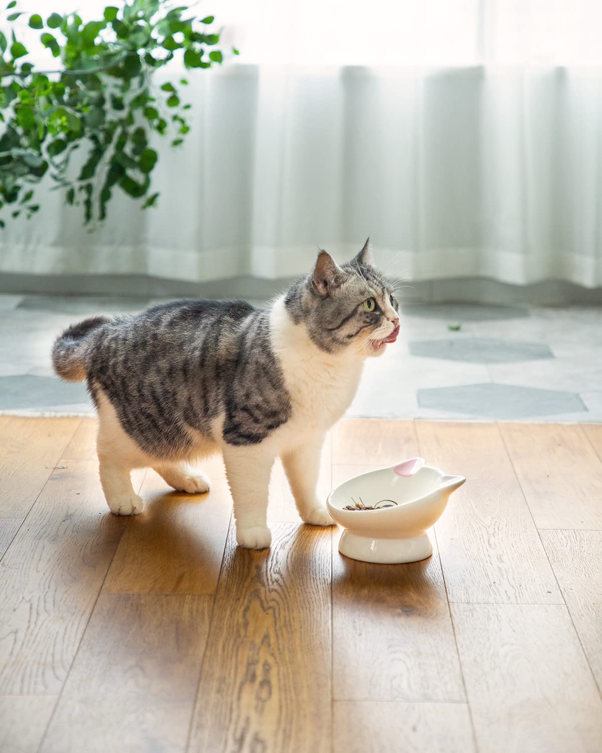 AISBUGUR regalo práctico para gatitos y gatos adultos