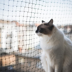 AIYGO gato malla balcon proteccion para mascotas y vista despejada