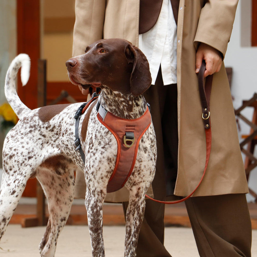 AKAILEA arnés de PU cuero marrón, diseño elegante y cómodo.