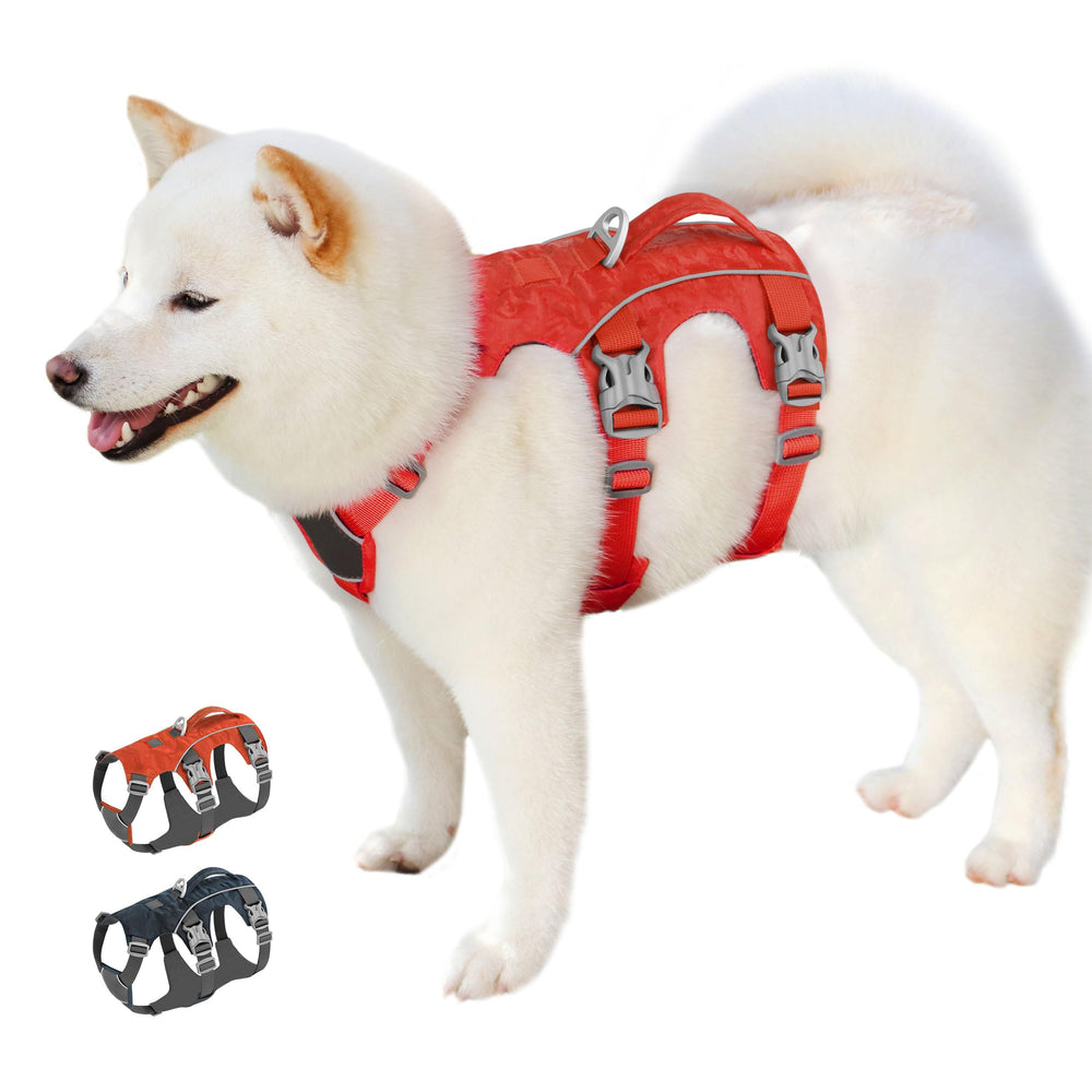 AKAILEA arnés para perro, vista frontal, paseos más seguros