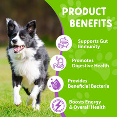 Akareni Probioticos para perros, soporte de salud intestinal natural.