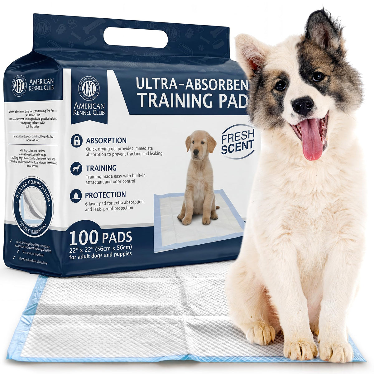 Almohadilla AKC para entrenamiento de cachorros 22x22 con aroma fresco y cómodo.