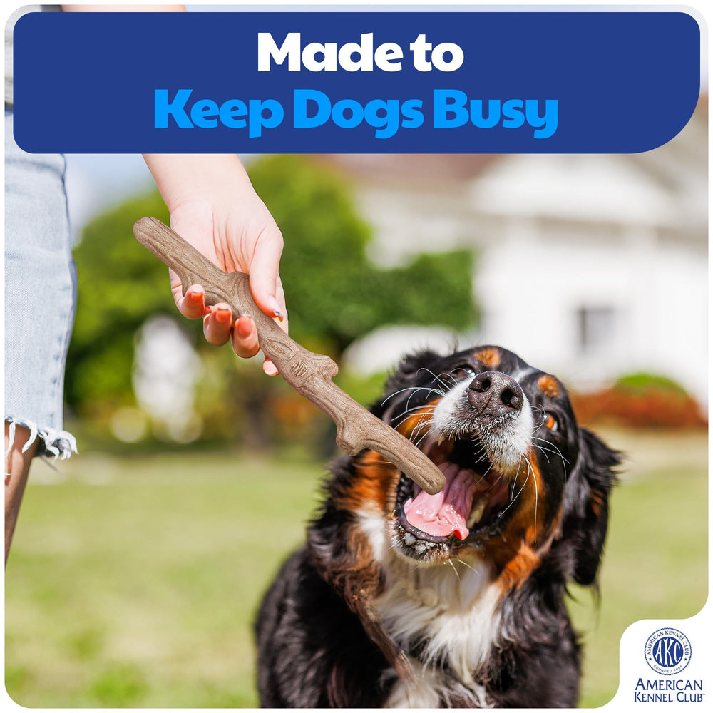 AKC Juego de entrenamiento y educación para perros que mejora la concentración.