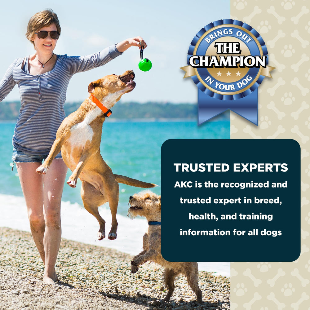 AKC Lil Champs presentación de 12 onzas para compartir.