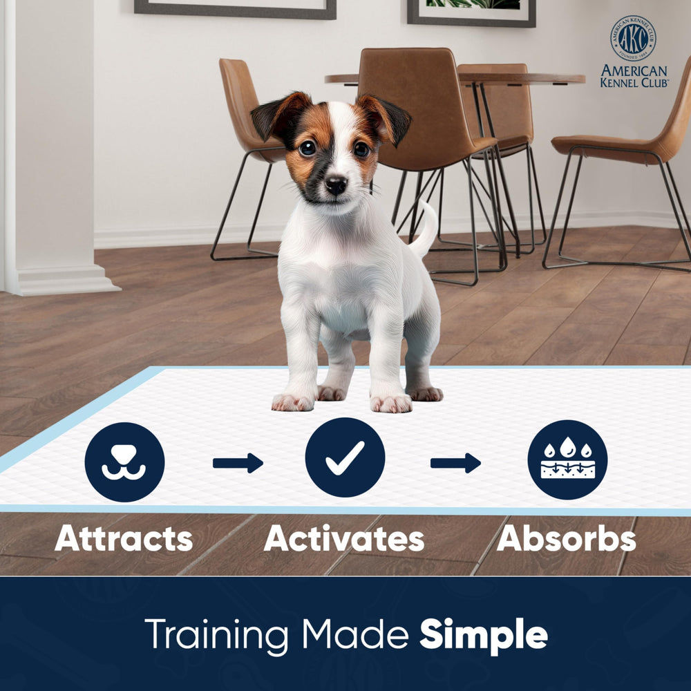AKC almohadilla entrenamiento atractivo 3-en-1 para facilitar entrenamiento