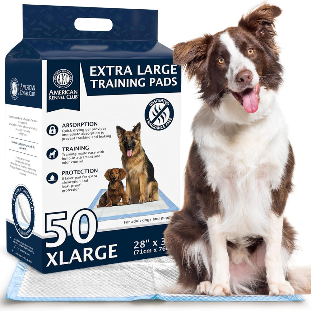 Almohadilla AKC de entrenamiento con absorción ultra para interiores.