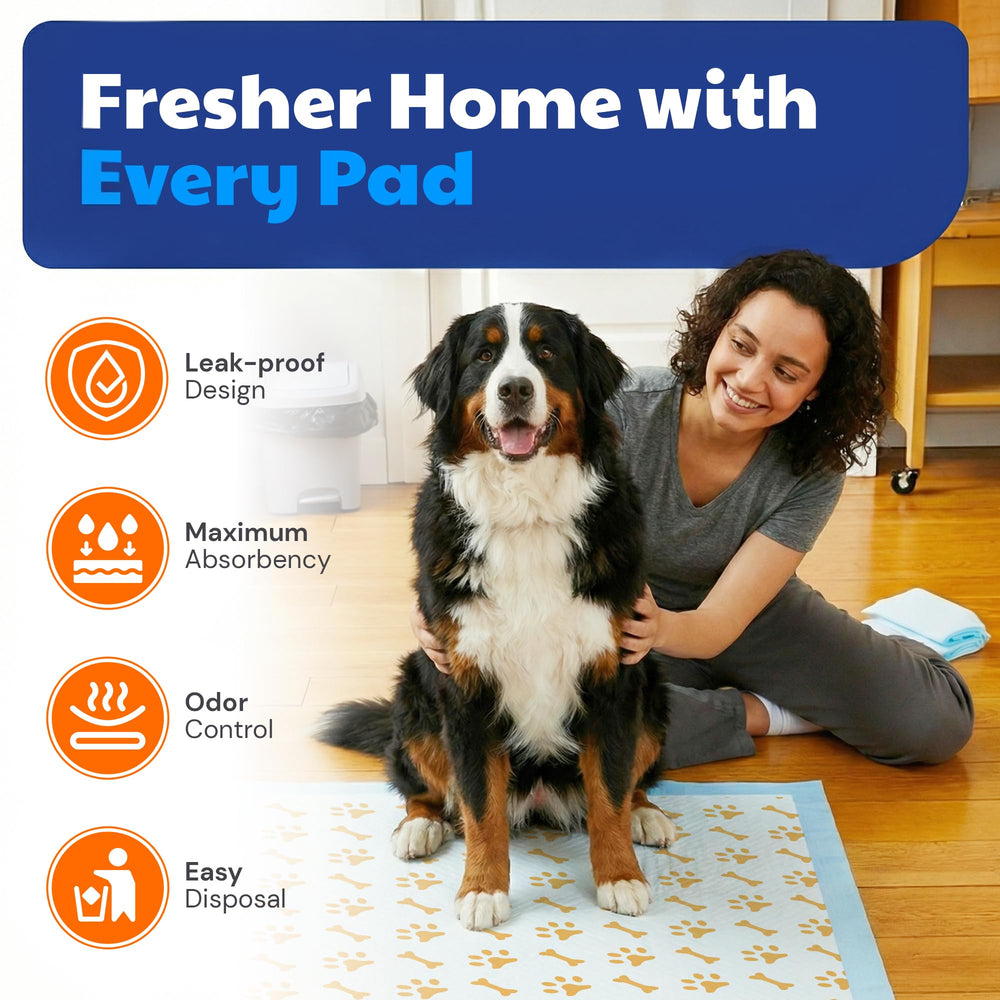 Tapete AKC con absorcion rapida, mantiene patas limpias y secas.