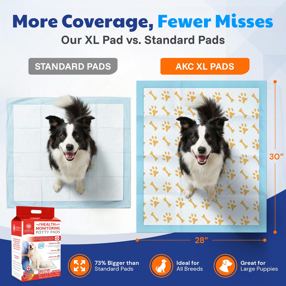 Tamaño XL 28x30 de AKC para perros grandes.