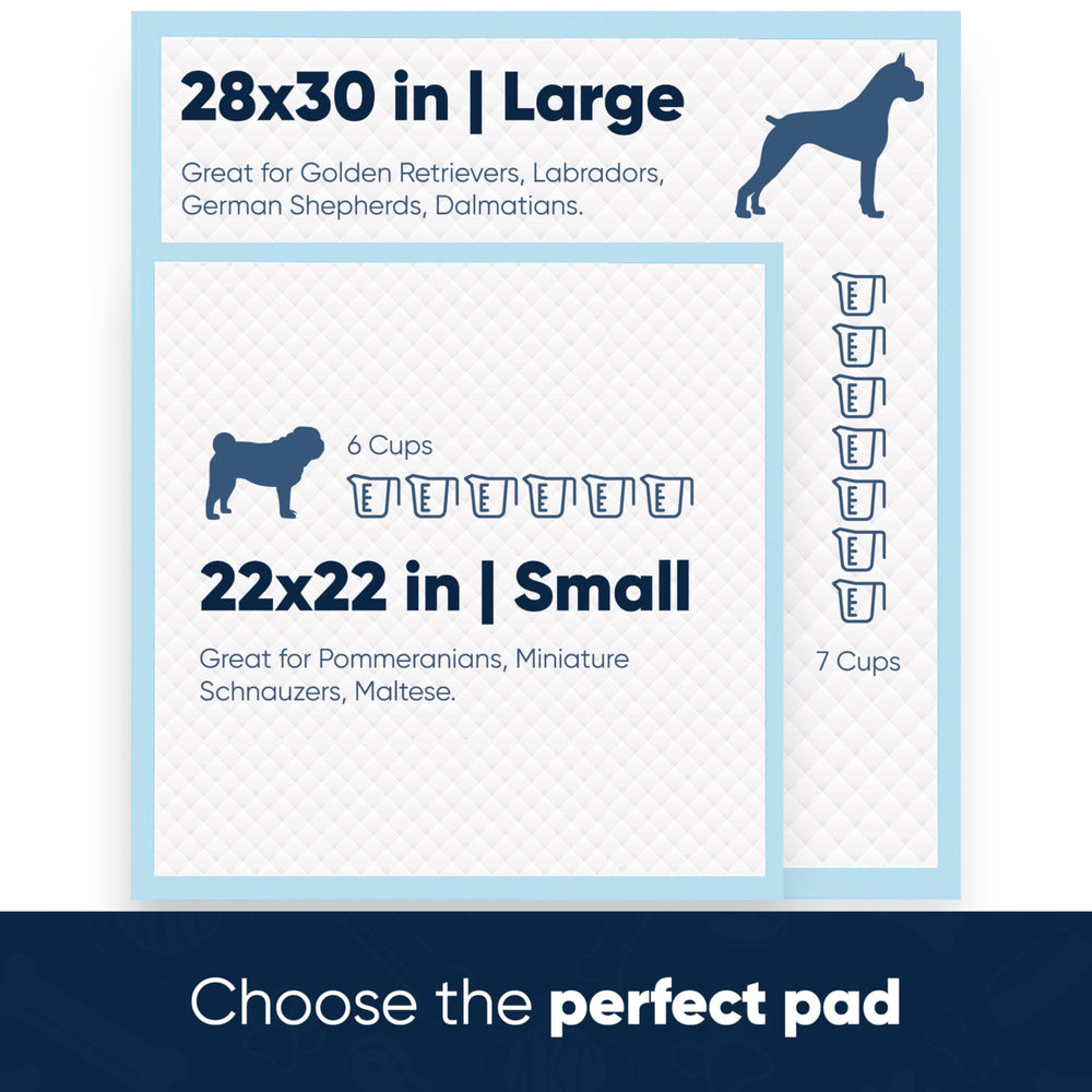 AKC uso diario en interiores para cachorros y perros pequeños.