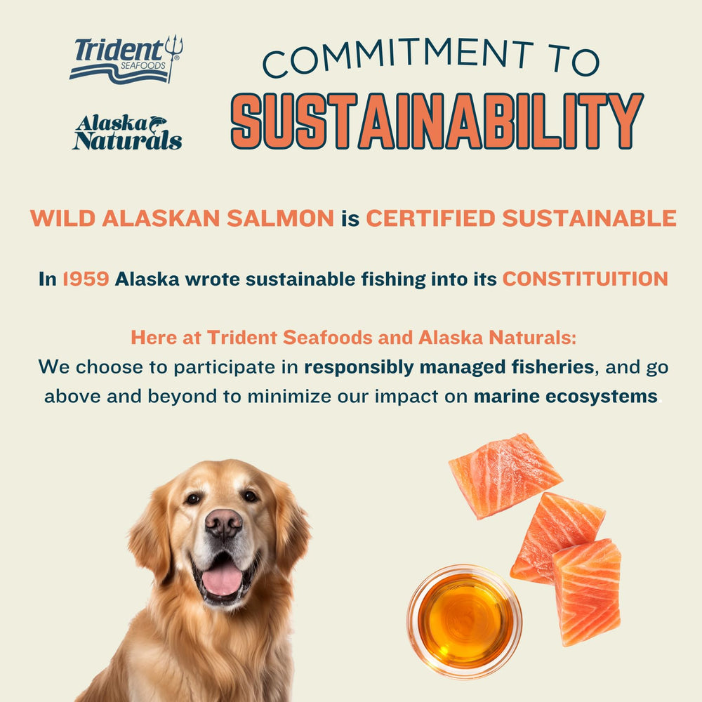 Aceite de salmón Alaska Naturals para uso diario en perros.