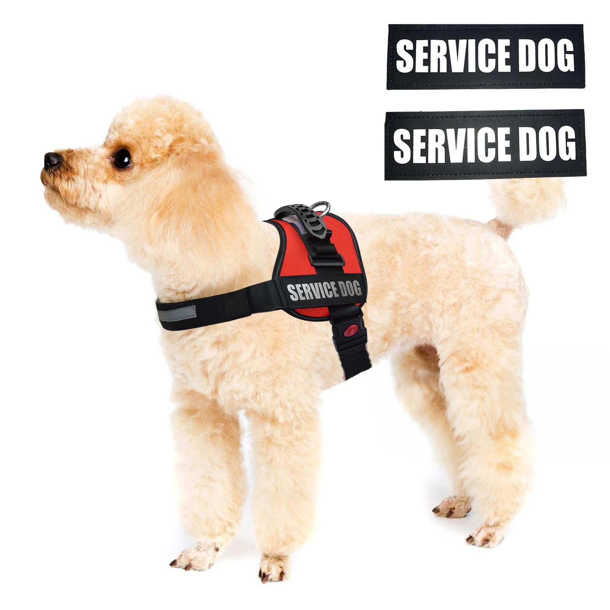 ALBCORP Service Dog Vest parches removibles para roles de trabajo.