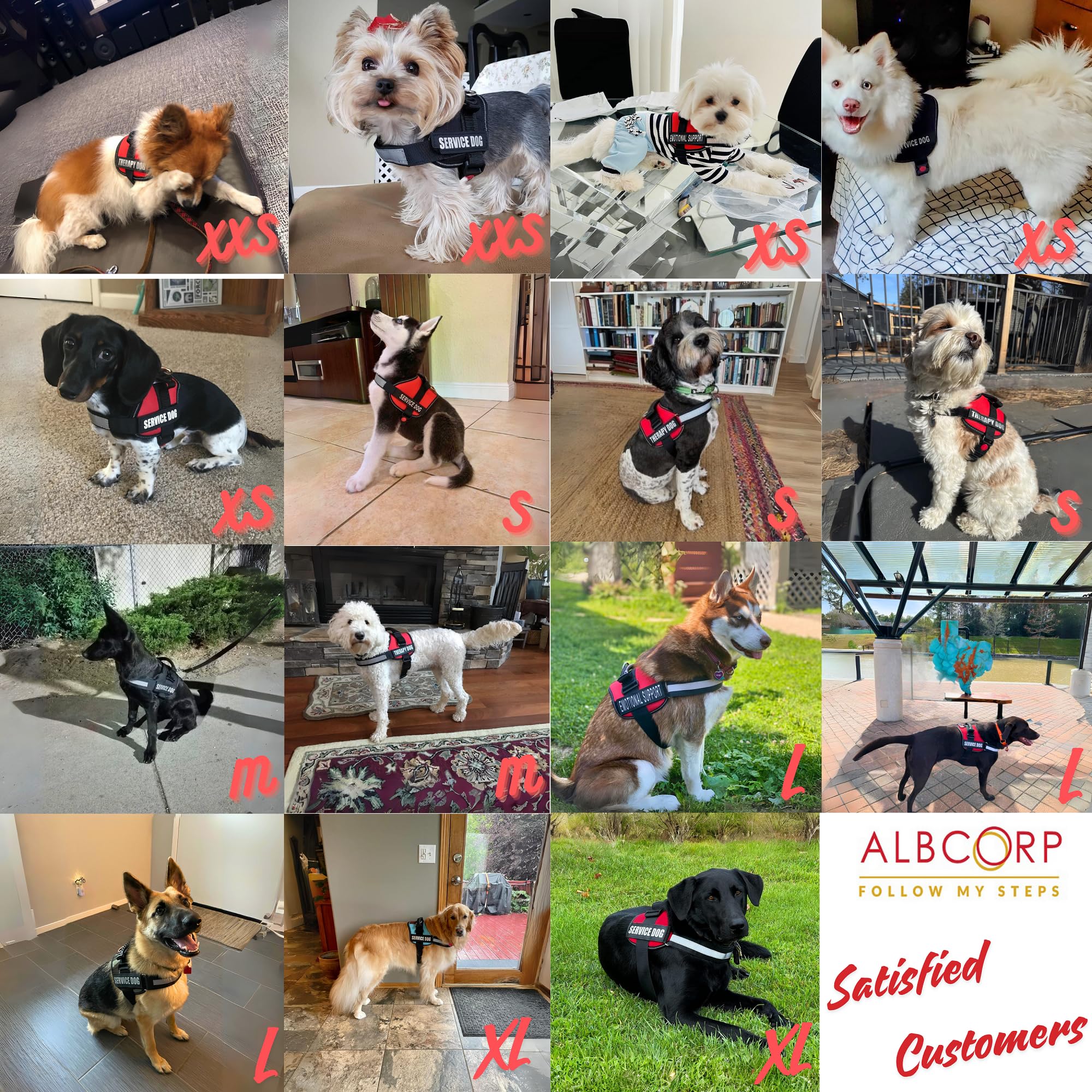 ALBCORP parches de identificación removibles para señalización de PERRO DE SERVICIO.