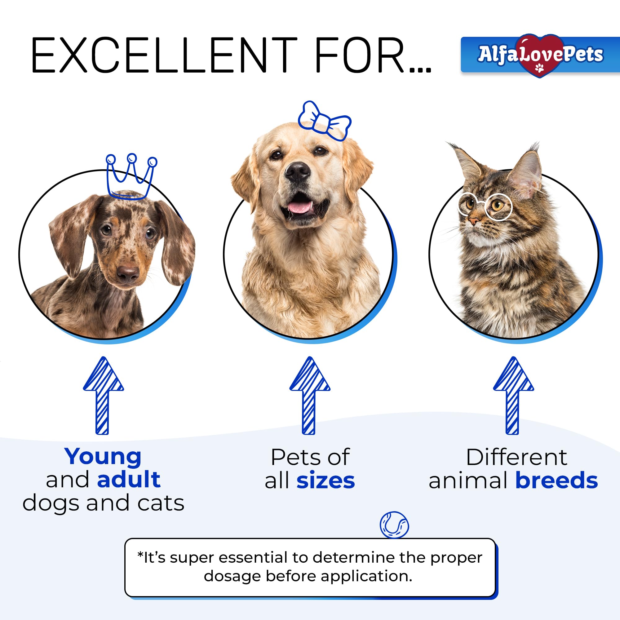 Alfa Love Pets: apto para todas las razas y tamaños de mascotas.