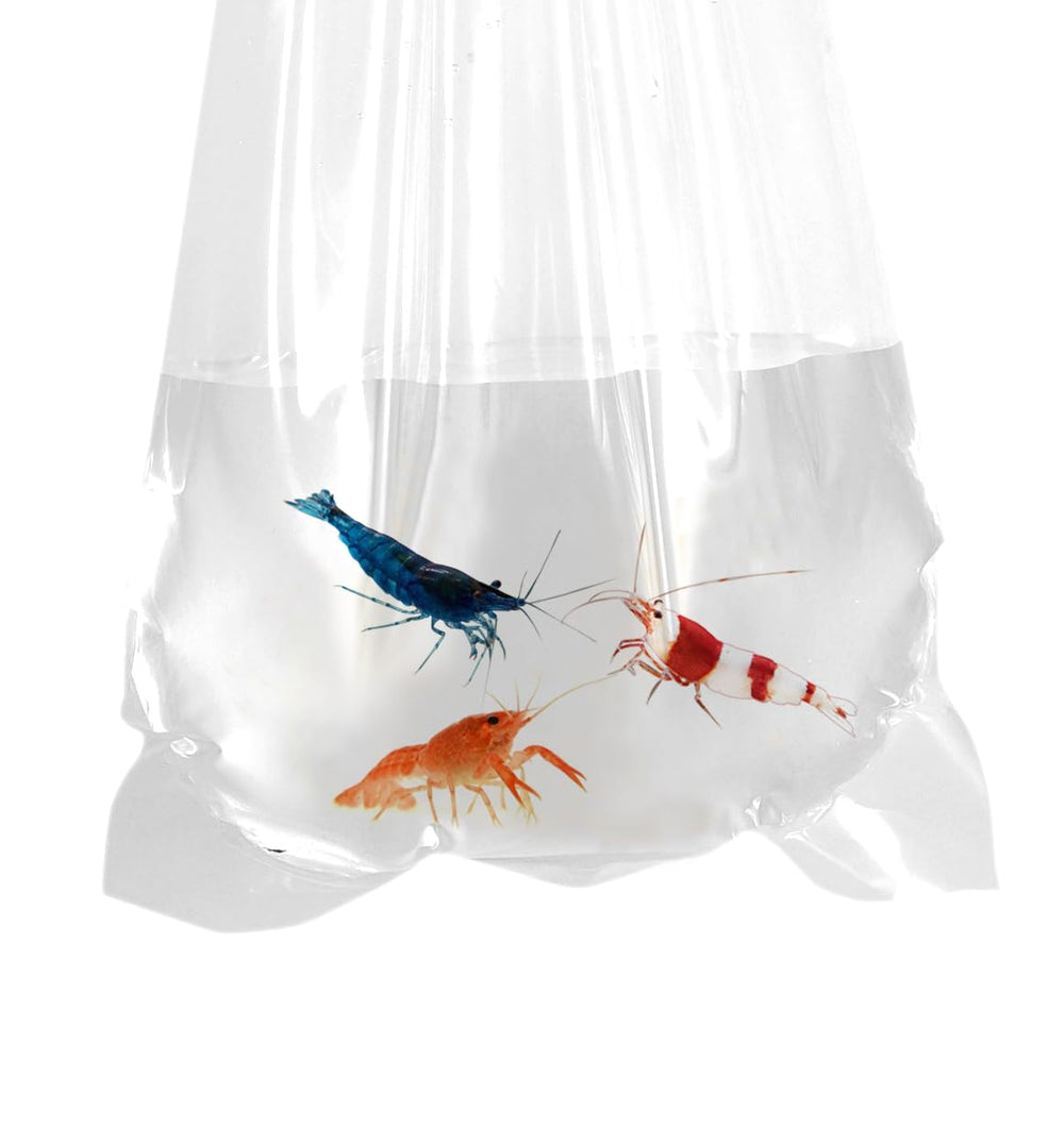 AlfaEx Bolsas para peces de 4 pulgadas con fondo redondeado para transporte estable