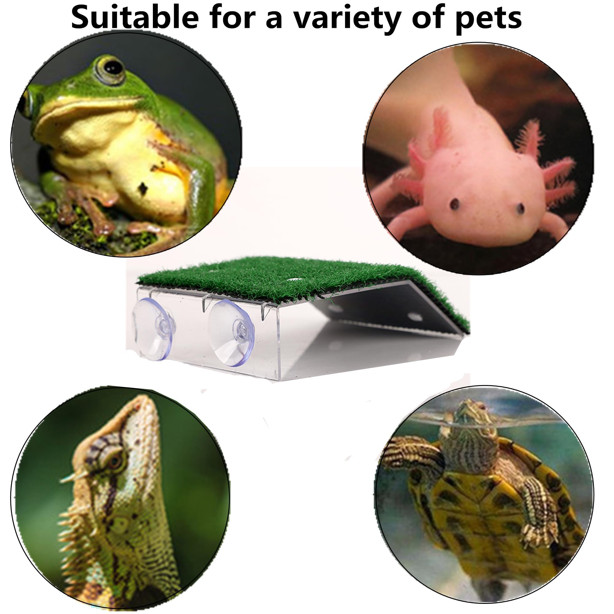 Alfyng accesorios-acuario-reptiles: decorativos y funcionales para terrarios.