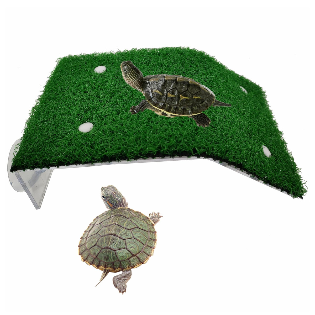 Alfyng plataforma descanso tortuga: superficie antideslizante para tomar el sol.