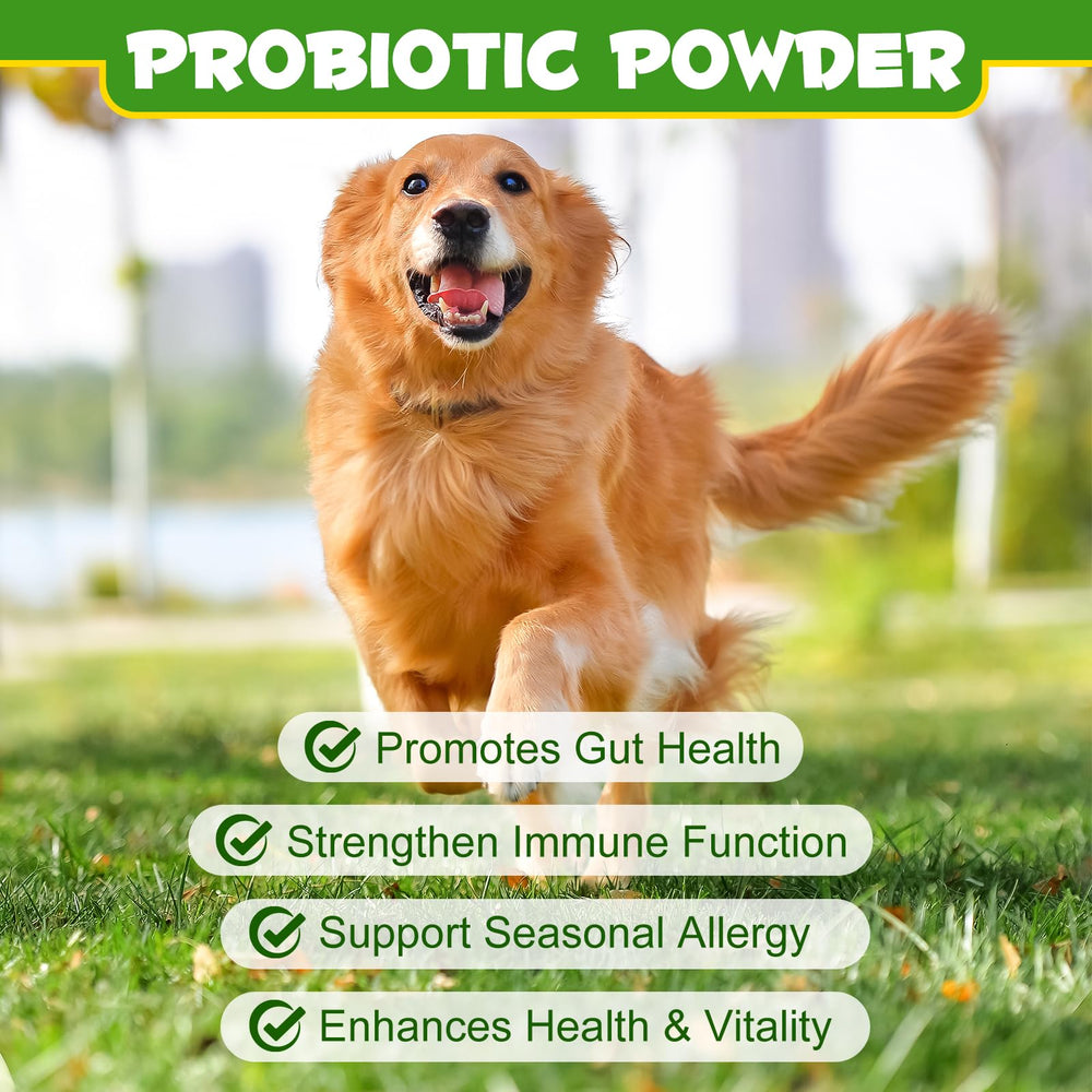 ALIVO Probiotics Polvo para perros empaque práctico en frasco para uso diario.