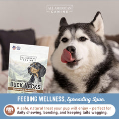 All American Canine sin conservantes artificiales, snack natural de pato