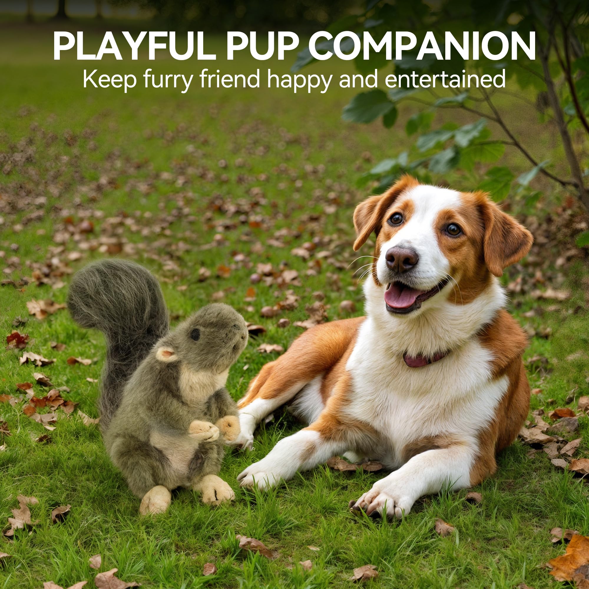 ALL FOR PAWS Ideal para jugar en casa o fuera de casa con tu perro