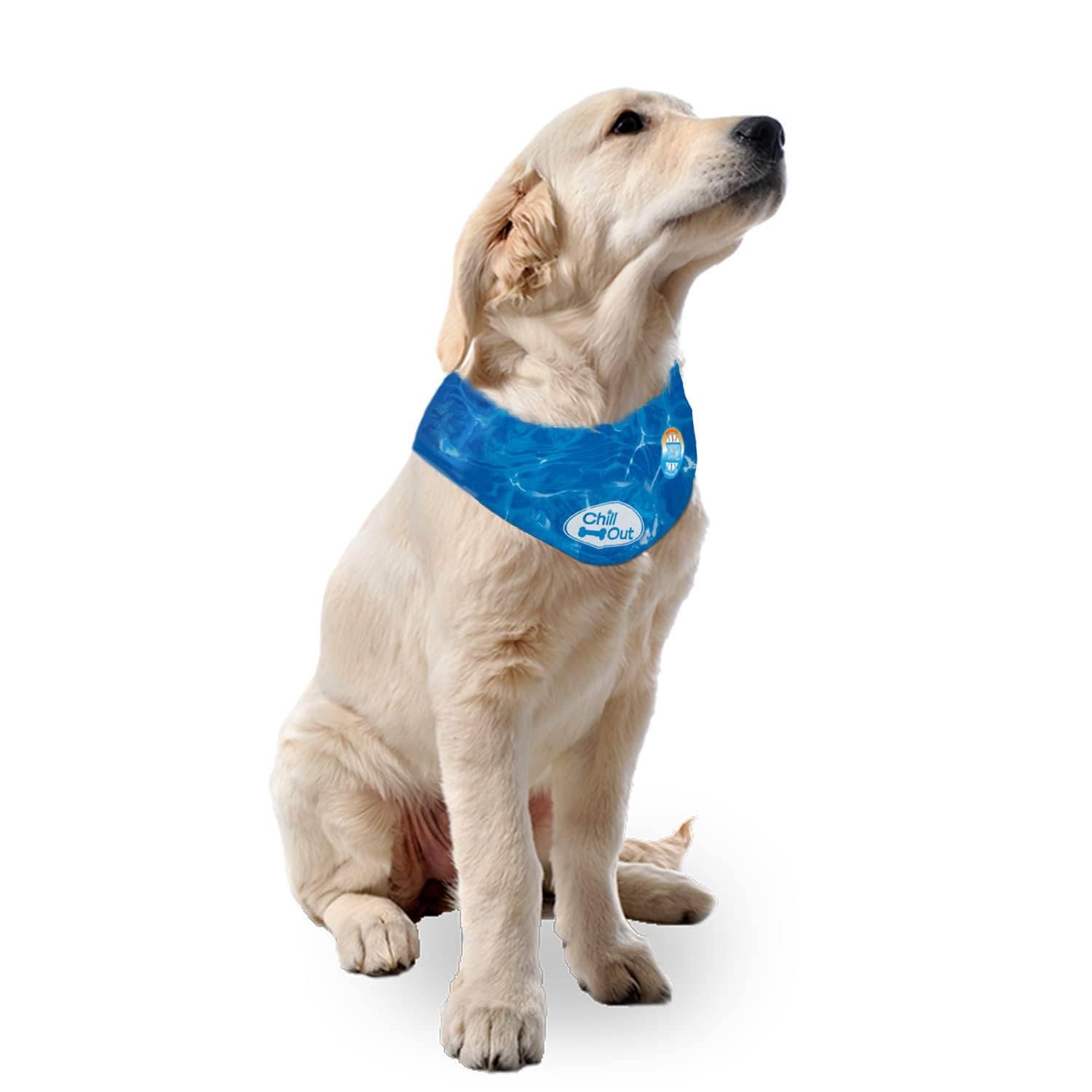 ALL FOR PAWS Bandana-para-paseos-verano práctica y refrescante para perros.