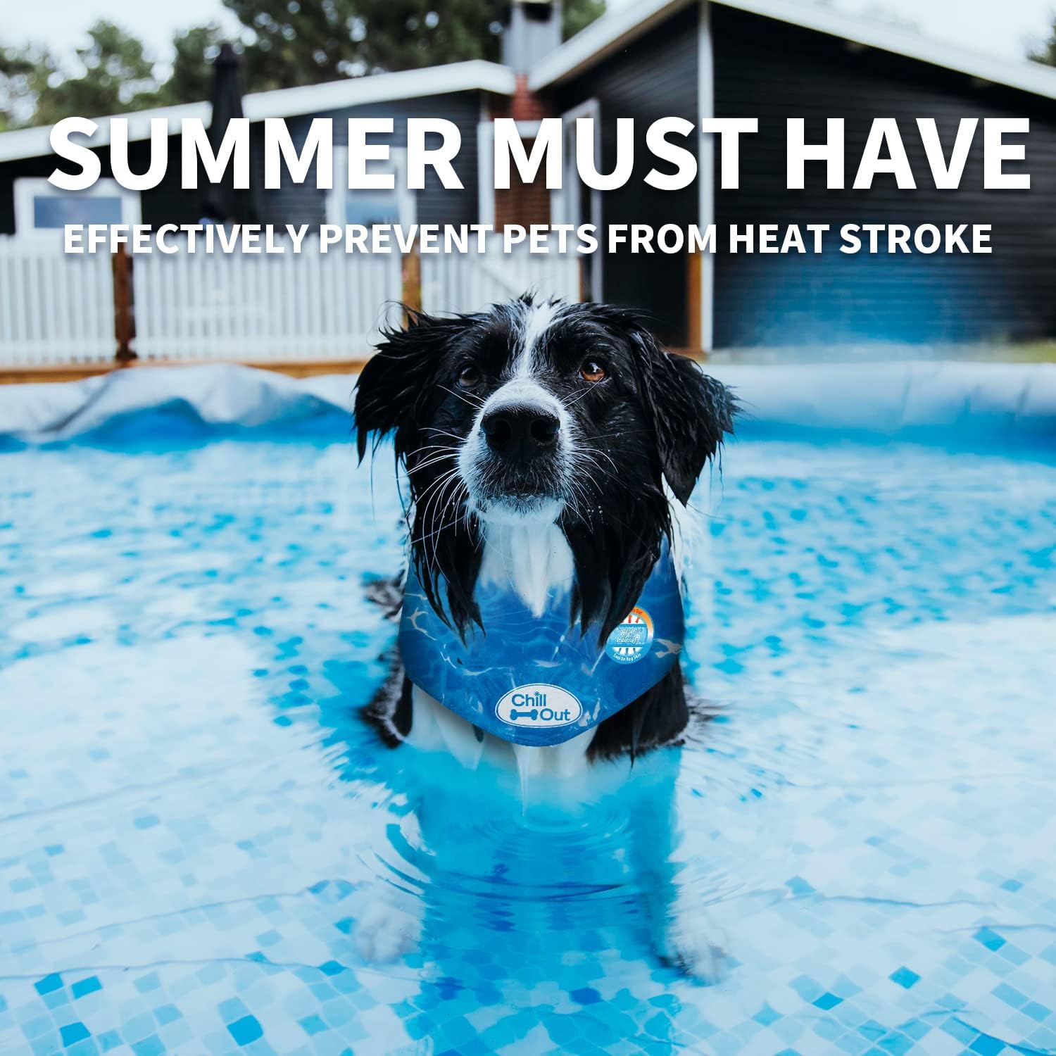 Humidifier puis réfrigérer ALL FOR PAWS bandana bleu pour booster le refroidissement.