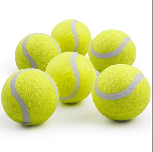 ALL FOR PAWS: pack de 6 pelotas de tenis para perros para paseos y parques