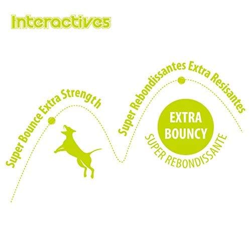 ALL FOR PAWS: pelotas de tenis seguras para dientes y entrenamiento canino