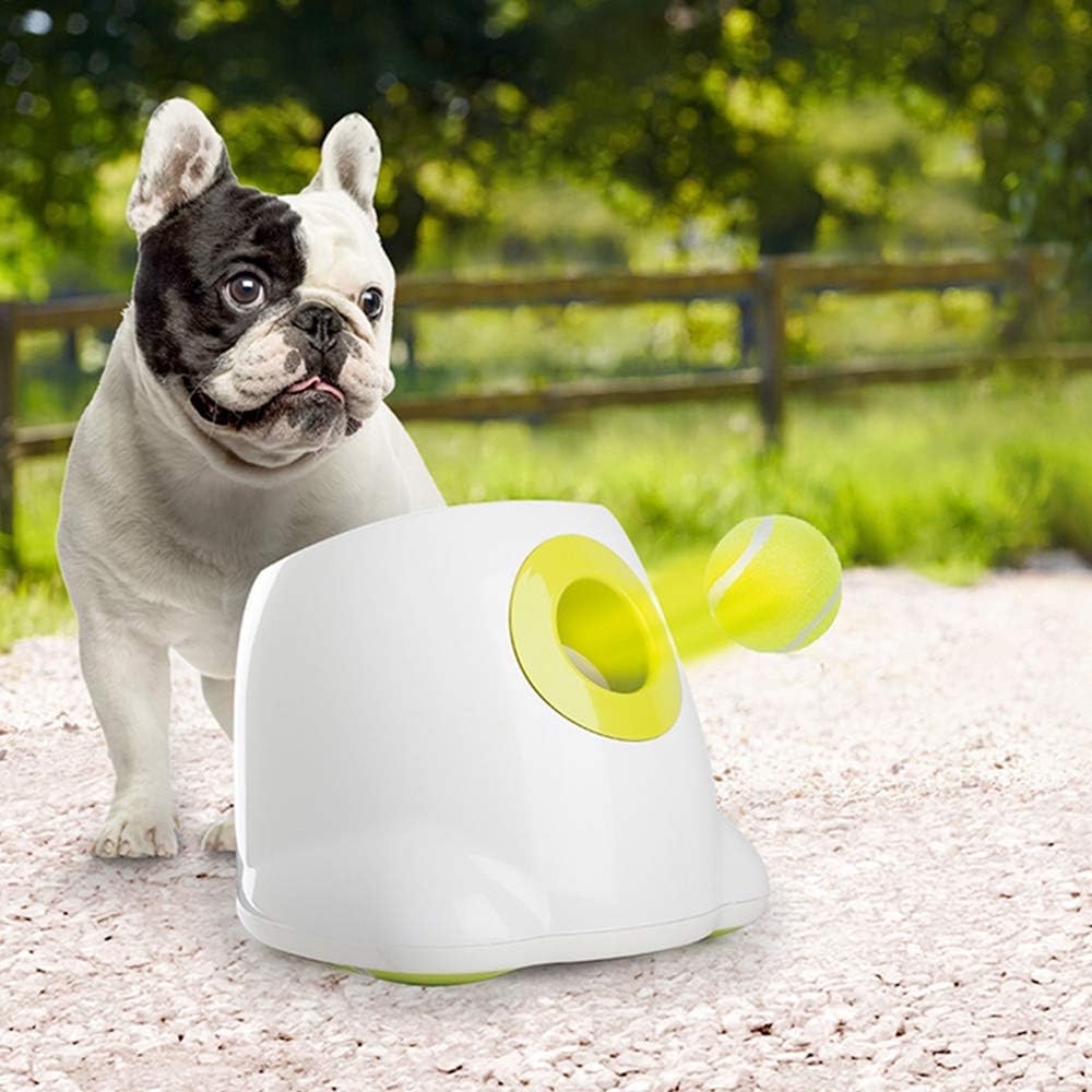 ALL FOR PAWS: pelota de tenis de tamaño ideal para diversas razas