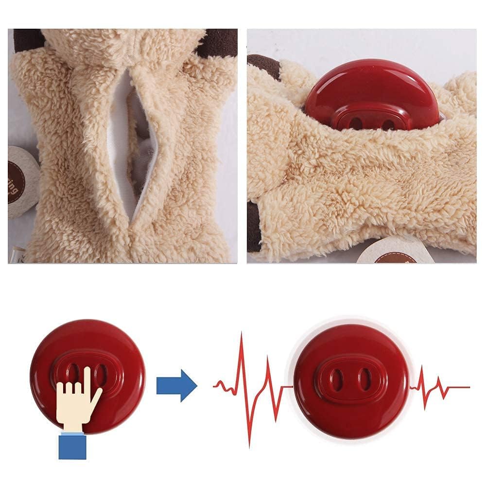 ALL FOR PAWS: Funda lavable que mantiene el peluche limpio.