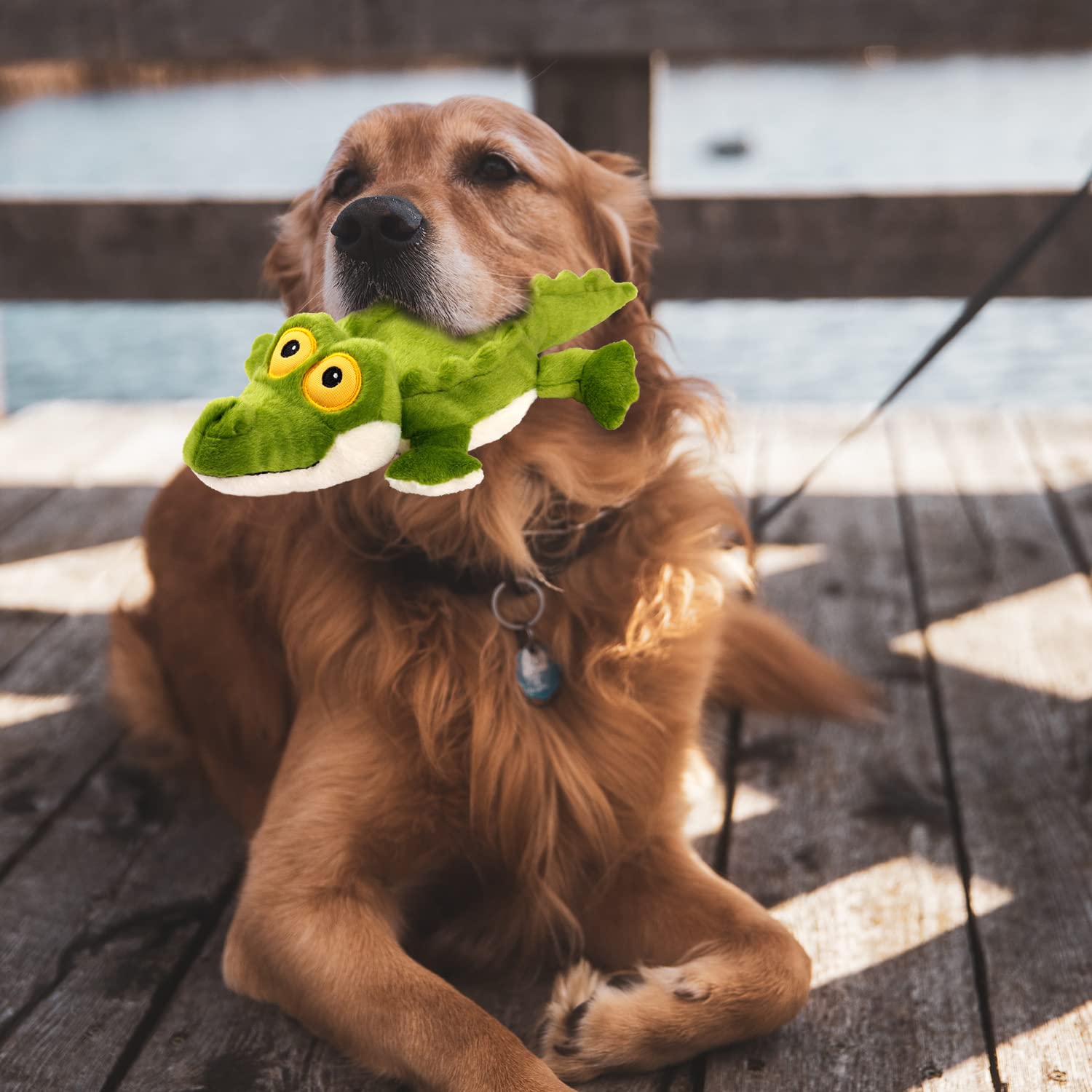 ALL FOR PAWS Pulpo: juguete silencioso para juegos interactivos en casa