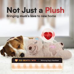 ALL FOR PAWS Little Buddy diseño corazon: forma atractiva que invita al abrazo y al descanso.