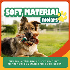 ALL FOR PAWS Pavo Real: juguete antiaburrimiento que estimula la curiosidad.