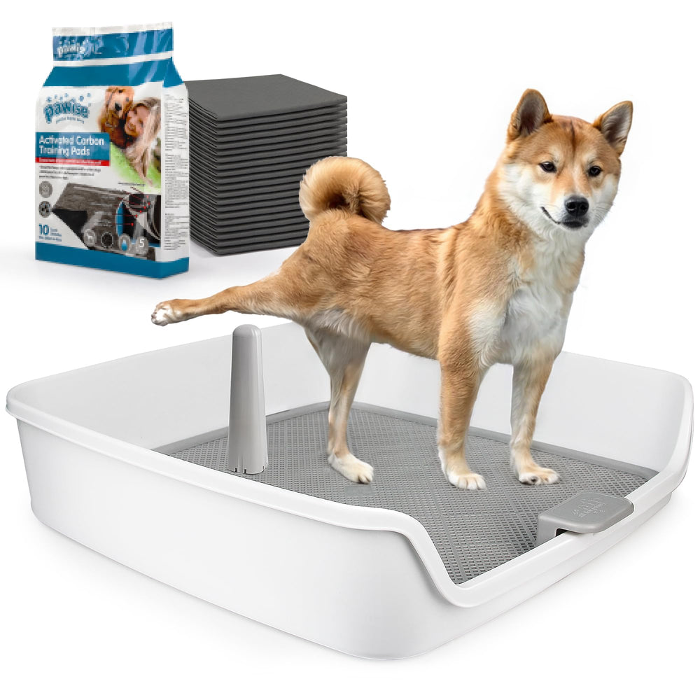 ALL FOR PAWS porta pads orina XL, vista frontal, ideal para entrenamiento en casa.