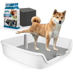 ALL FOR PAWS porta pads orina XL, vista frontal, ideal para entrenamiento en casa.