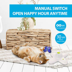 ALL FOR PAWS Señuelo mariposa 360, movimiento realista para estimular la caza.