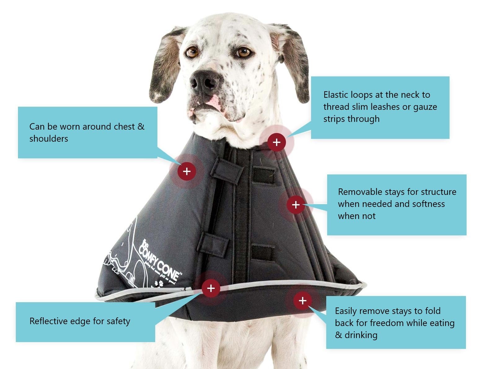 All Four Paws Cono Comfy cierres de velcro para ajuste personalizado.