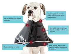 All Four Paws Cono Comfy cierres de velcro para ajuste personalizado.