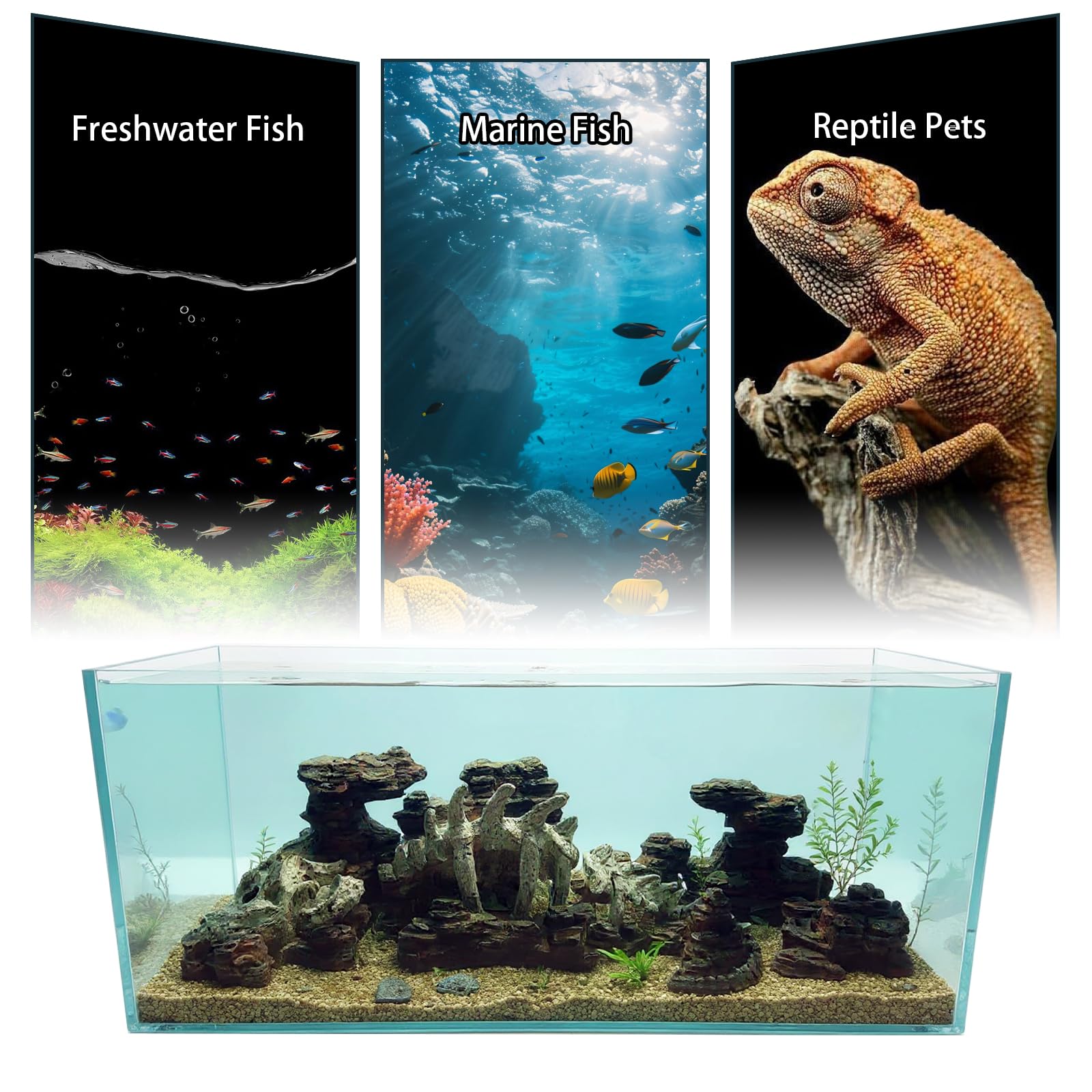 Allcolor decoración externa para acuario, mejora el aspecto visual como fondo.