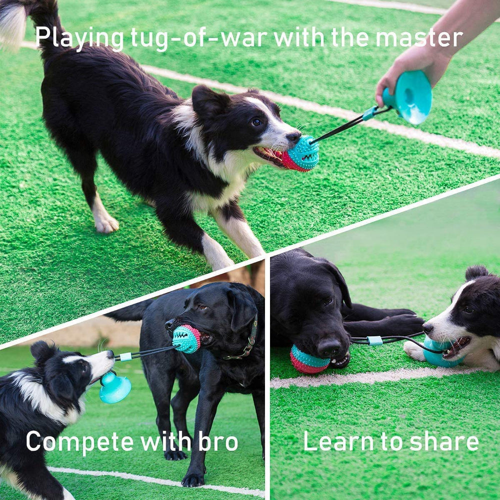 ALLRIER juguete perro con ventosa fijada para juego estable y limpio.