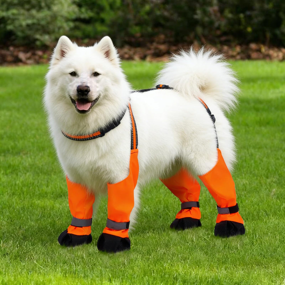 Allroaring Botas de Perro con diseño de ajuste seguro para paseos activos al aire libre.