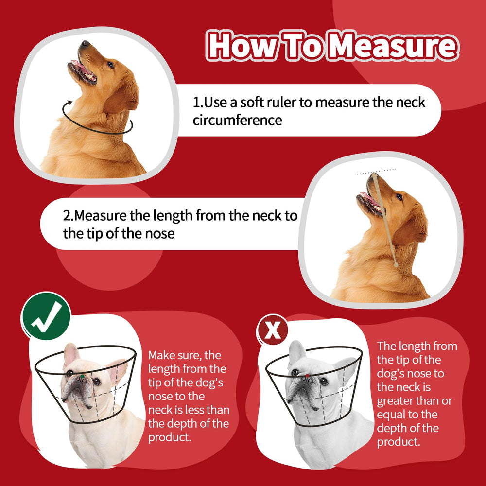 Cono Allroaring para perro protección de heridas para evitar lamidos