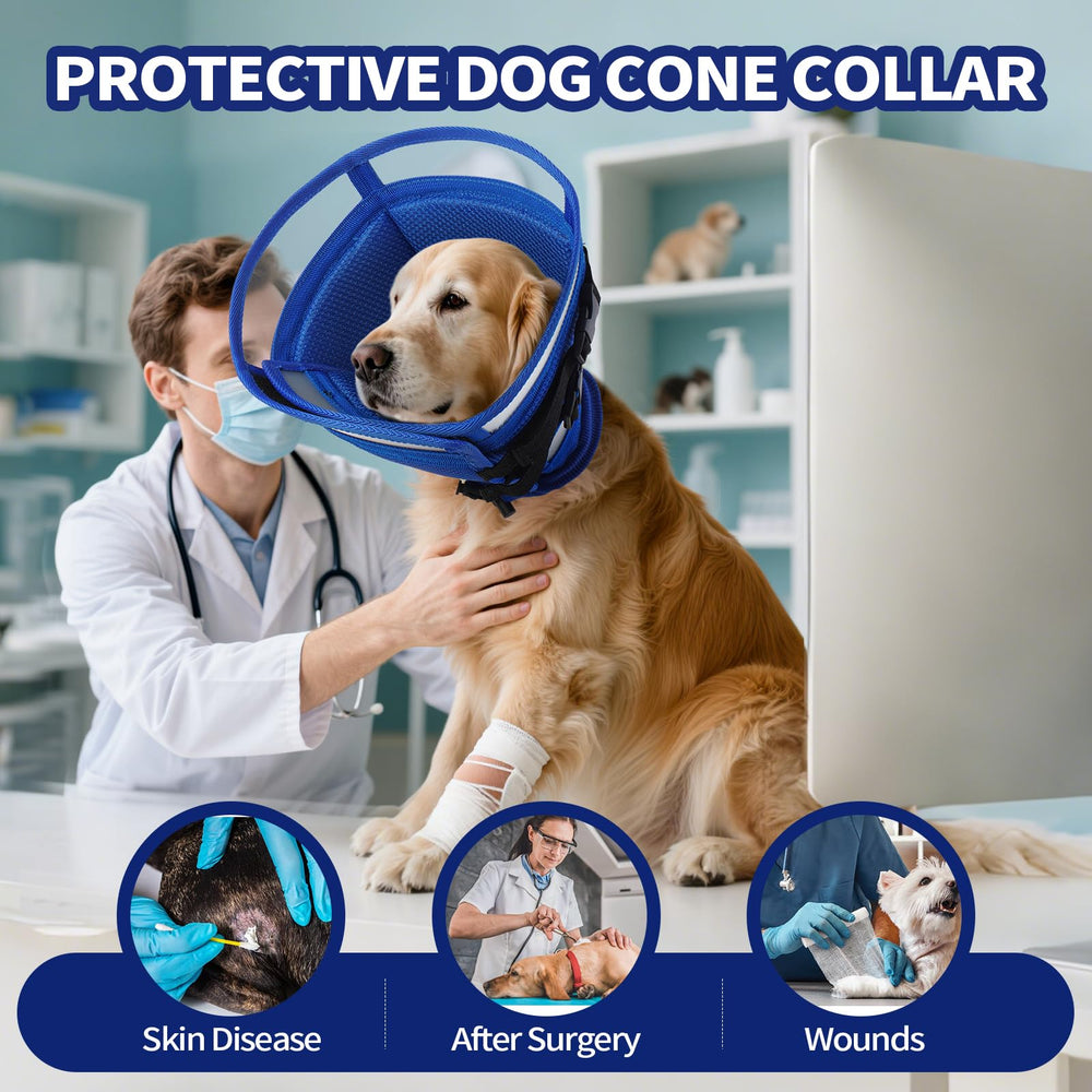 Cono Allroaring para perro XL con hebilla estable para evitar deslizamientos.